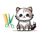 Cat Haircut Package
