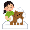 dog Spa and Bath Package